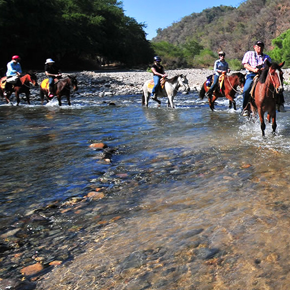 Pasear a caballo – PUERTO VALLARTA, AVENTURA Y ECOTURISMO